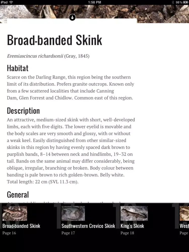 Perth Skinks iPad 应用截图