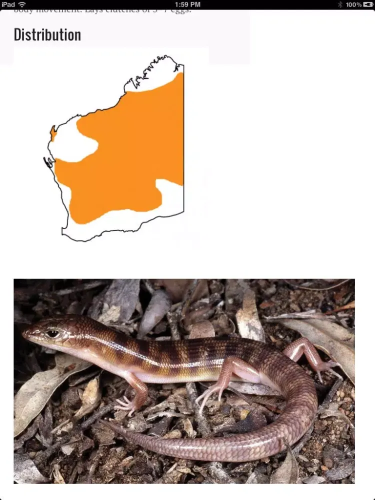 Perth Skinks iPad 应用截图
