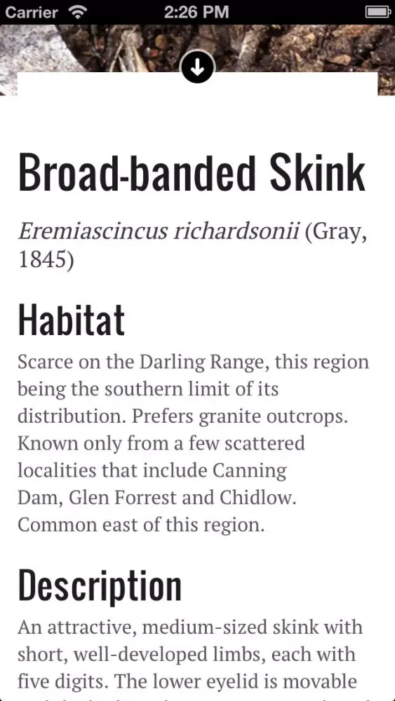 Perth Skinks应用截图