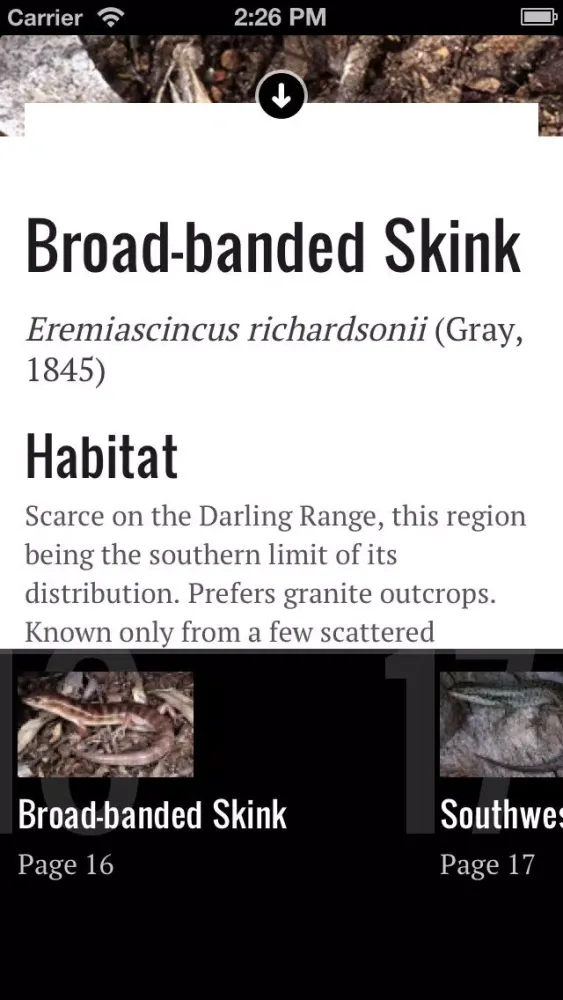 Perth Skinks应用截图