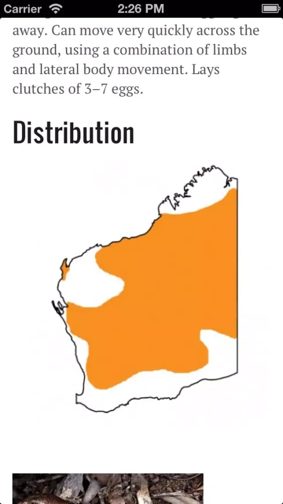 Perth Skinks应用截图