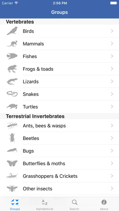 Field Guide to NSW Fauna Screenshots