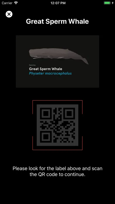 Captures d'écran de Australian Museum Games