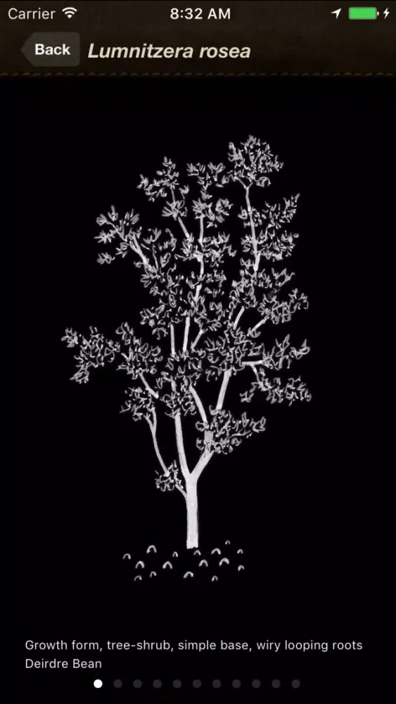 Mangrove iD Ekran Görüntüleri