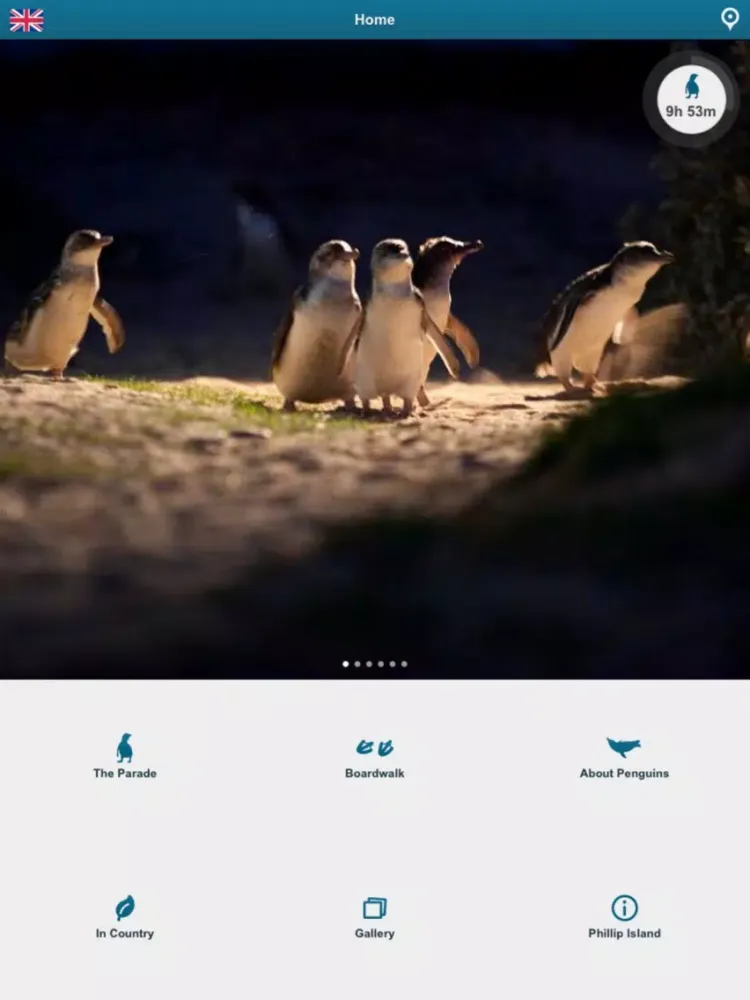 ภาพหน้าจอของ Penguin Parade, Phillip Island iPad 