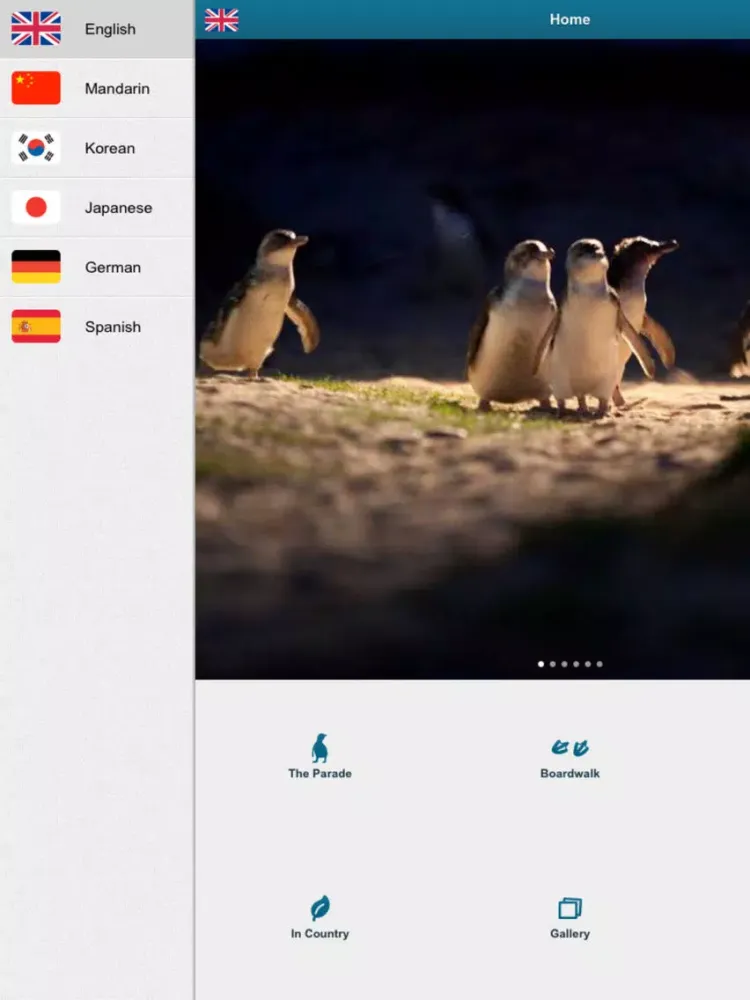 ภาพหน้าจอของ Penguin Parade, Phillip Island iPad 