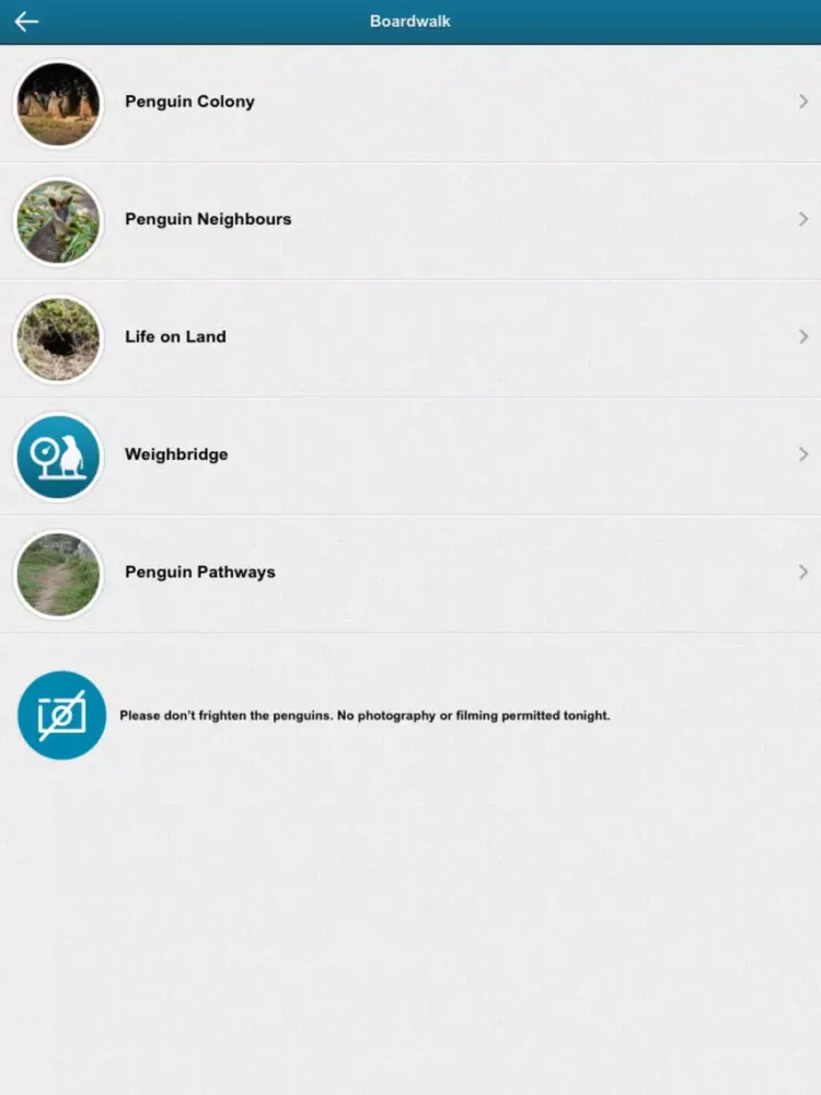 ภาพหน้าจอของ Penguin Parade, Phillip Island iPad 