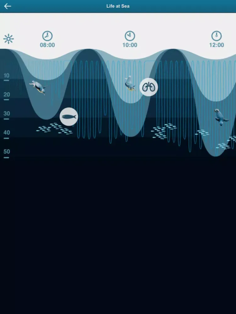 ภาพหน้าจอของ Penguin Parade, Phillip Island iPad 