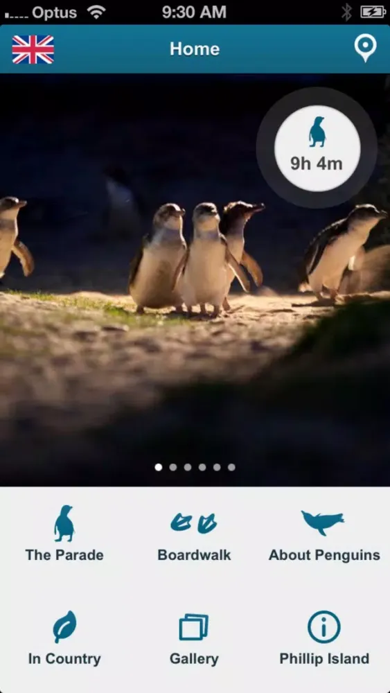 ภาพหน้าจอของ Penguin Parade, Phillip Island