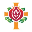 St John of God Doctor Connect St John of God Doctor Connect