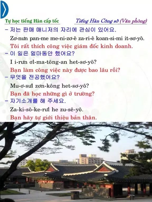 Korean for the Office iPad  スクリーンショット