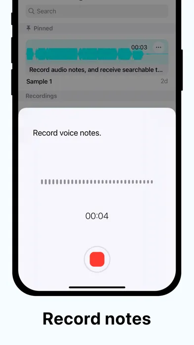 Depict :: Audio Notes スクリーンショット