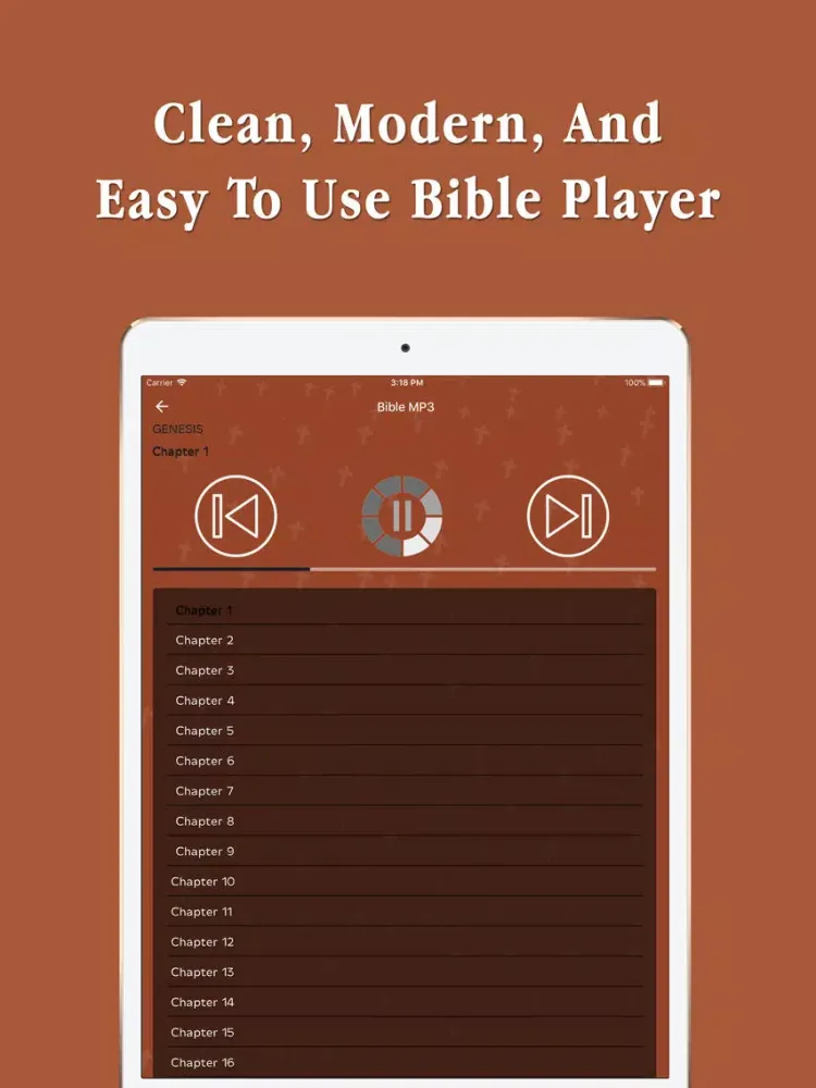Скриншоты Audio Bible MP3 iPad 
