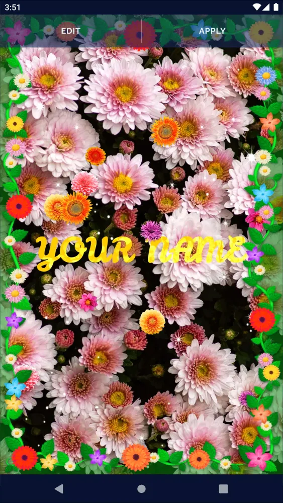 Autumn Flowers Live Wallpaper应用截图
