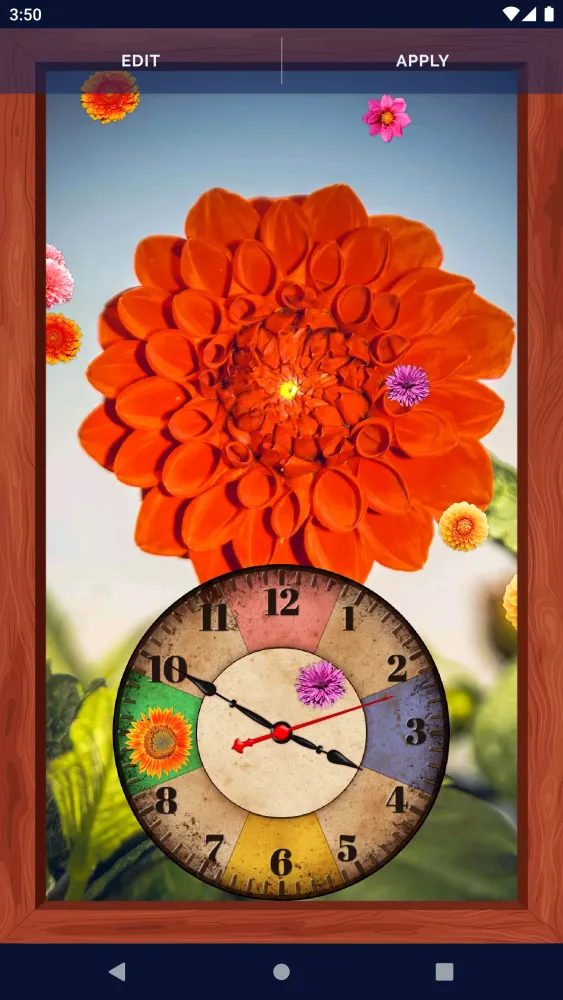 Autumn Flowers Live Wallpaper应用截图
