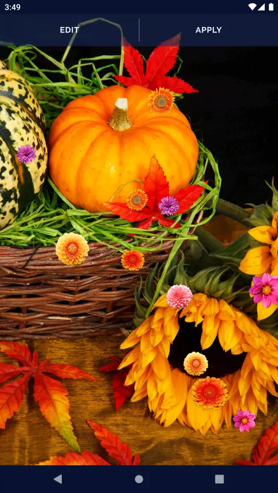 Autumn Flowers Live Wallpaper应用截图