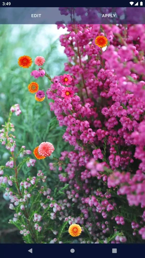 Autumn Flowers Live Wallpaper应用截图