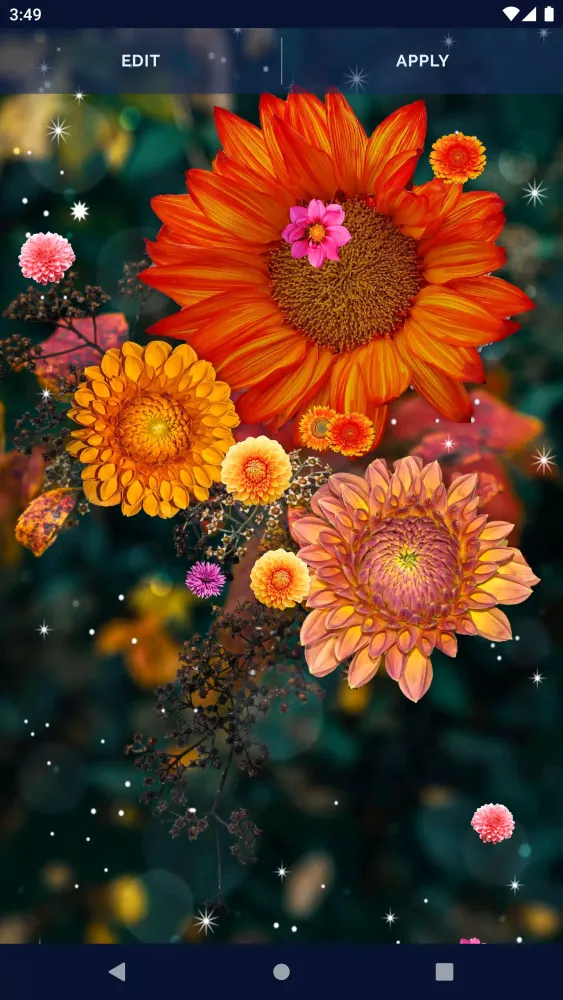 Autumn Flowers Live Wallpaper应用截图
