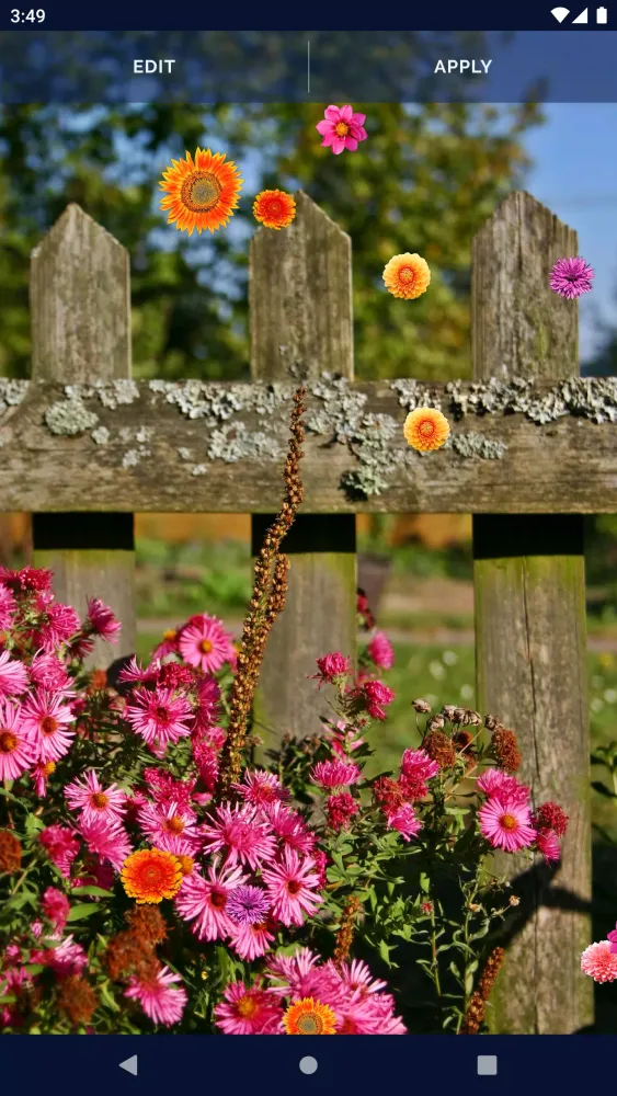 Autumn Flowers Live Wallpaper应用截图