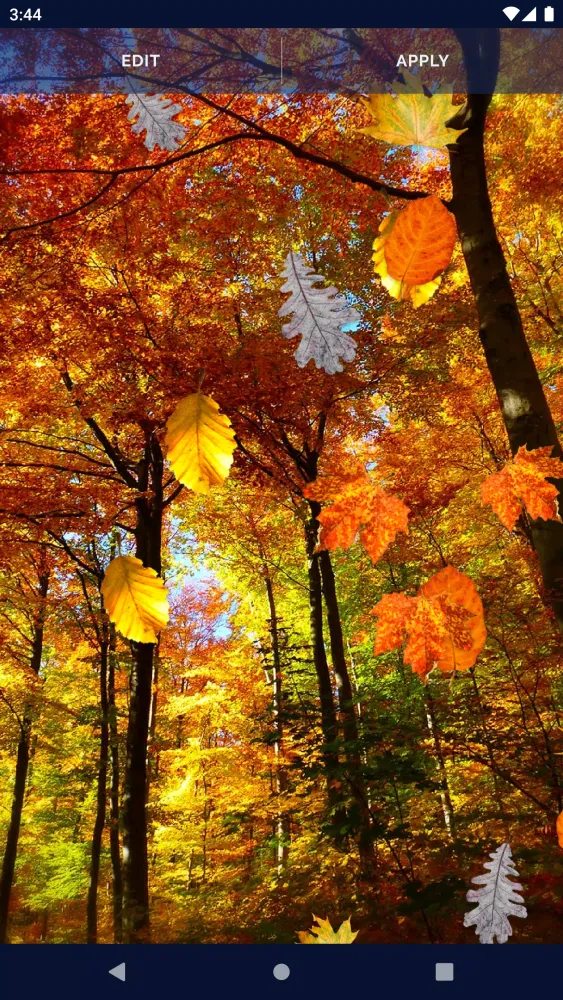 Autumn Leaves Live Wallpaper স্ক্রিনশট