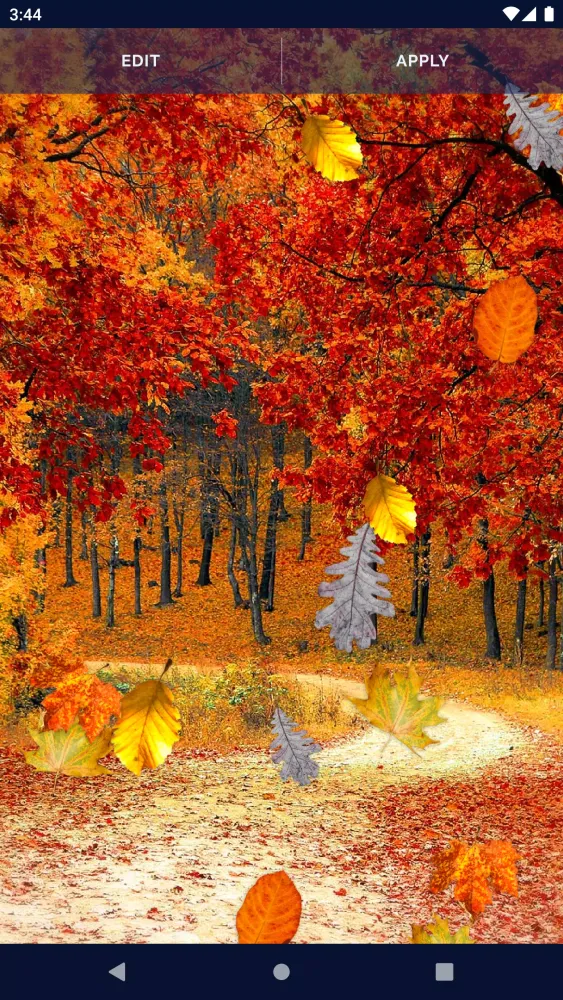 Autumn Leaves Live Wallpaper স্ক্রিনশট