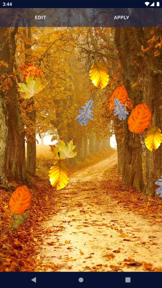 Autumn Leaves Live Wallpaper স্ক্রিনশট