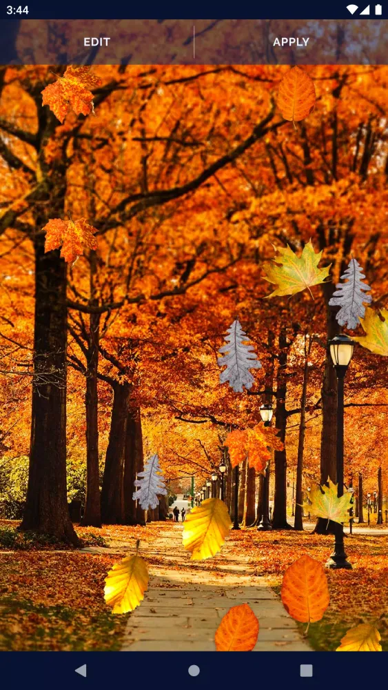 Autumn Leaves Live Wallpaper স্ক্রিনশট