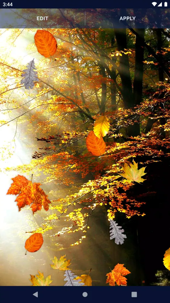 Autumn Leaves Live Wallpaper স্ক্রিনশট
