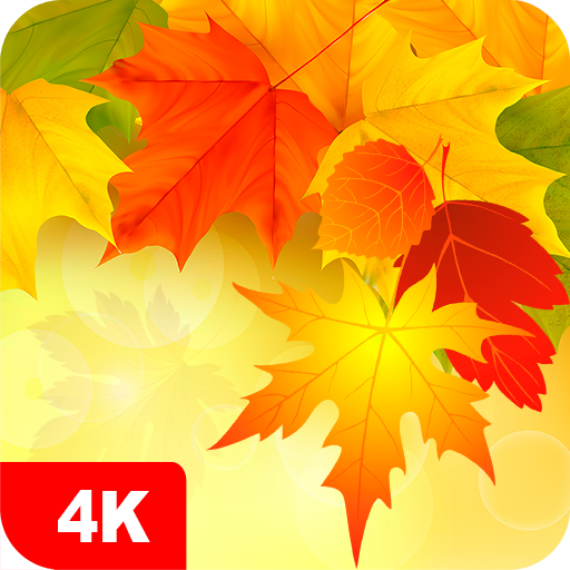 Autumn Wallpapers 4K