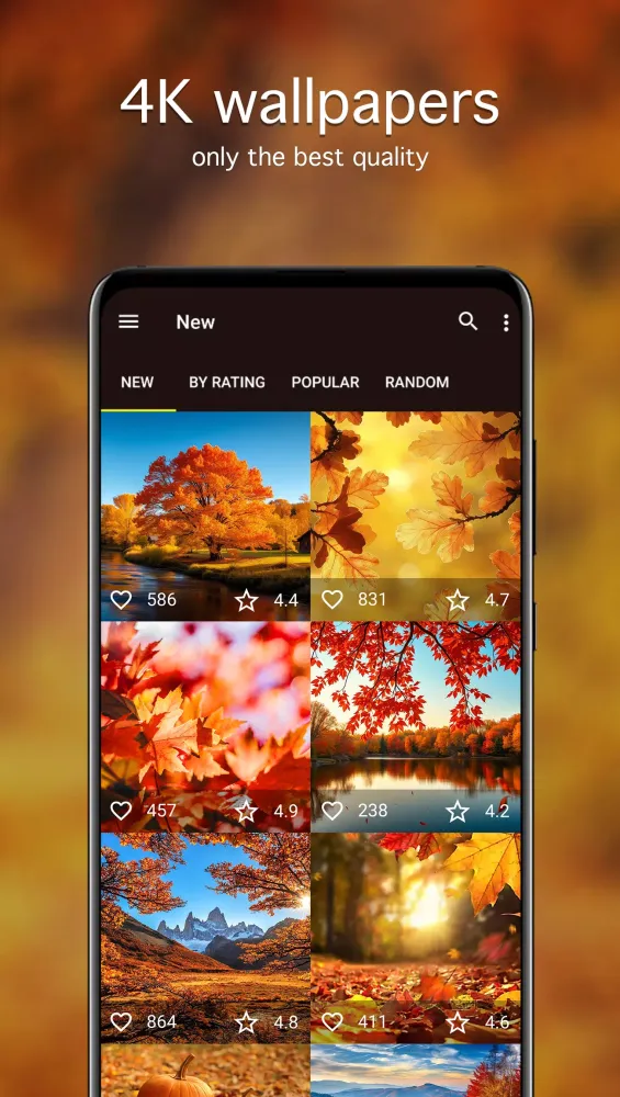 Tangkapan skrin Autumn Wallpapers 4K