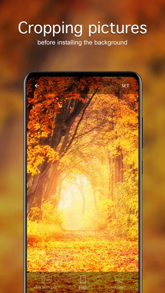 Tangkapan skrin Autumn Wallpapers 4K