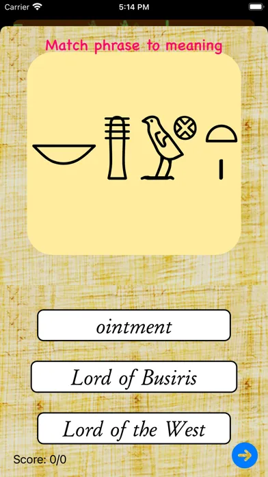 Hieroglyph FlashCards应用截图
