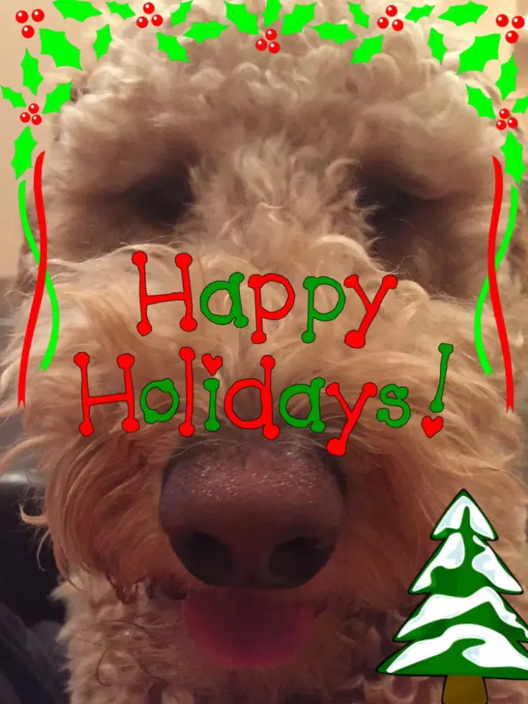 صور Christmas Booth - Spread Your Holiday Joy iPad 