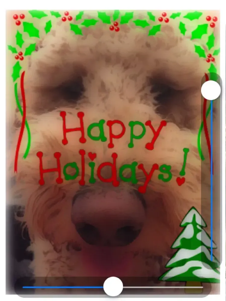 صور Christmas Booth - Spread Your Holiday Joy iPad 