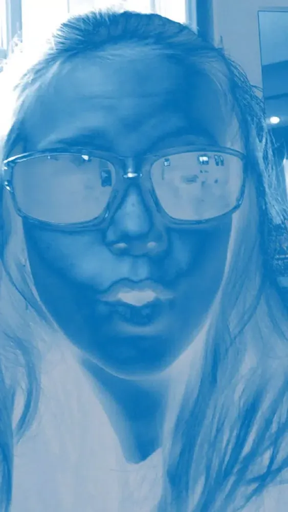 Capturas de tela do Michigan Selfie Team Cam