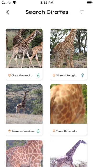 Zrzuty ekranu GiraffeSpotter
