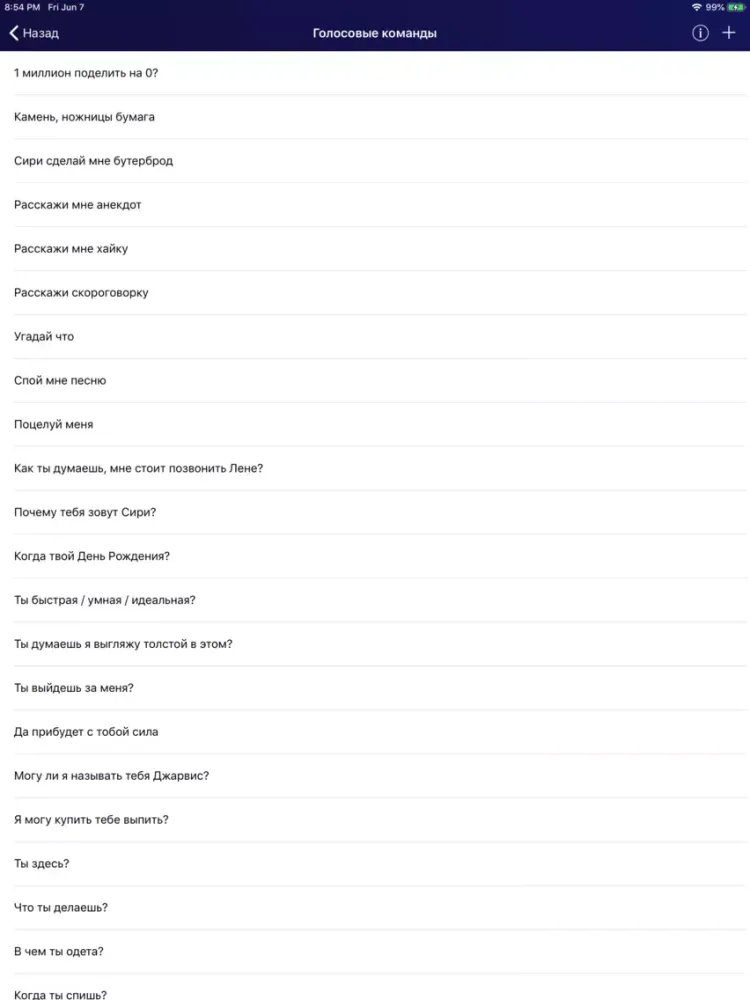 Голосовые команды iPad  Ekran Görüntüleri