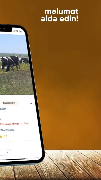 AzFarm应用截图