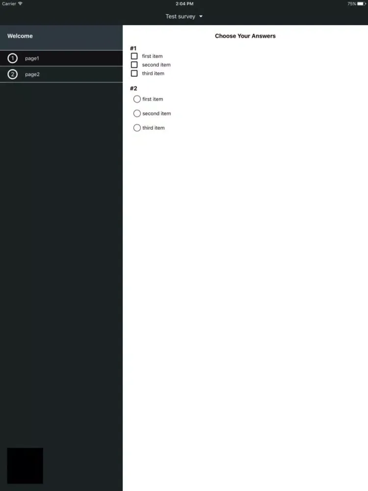 Validate App iPad 應用截圖