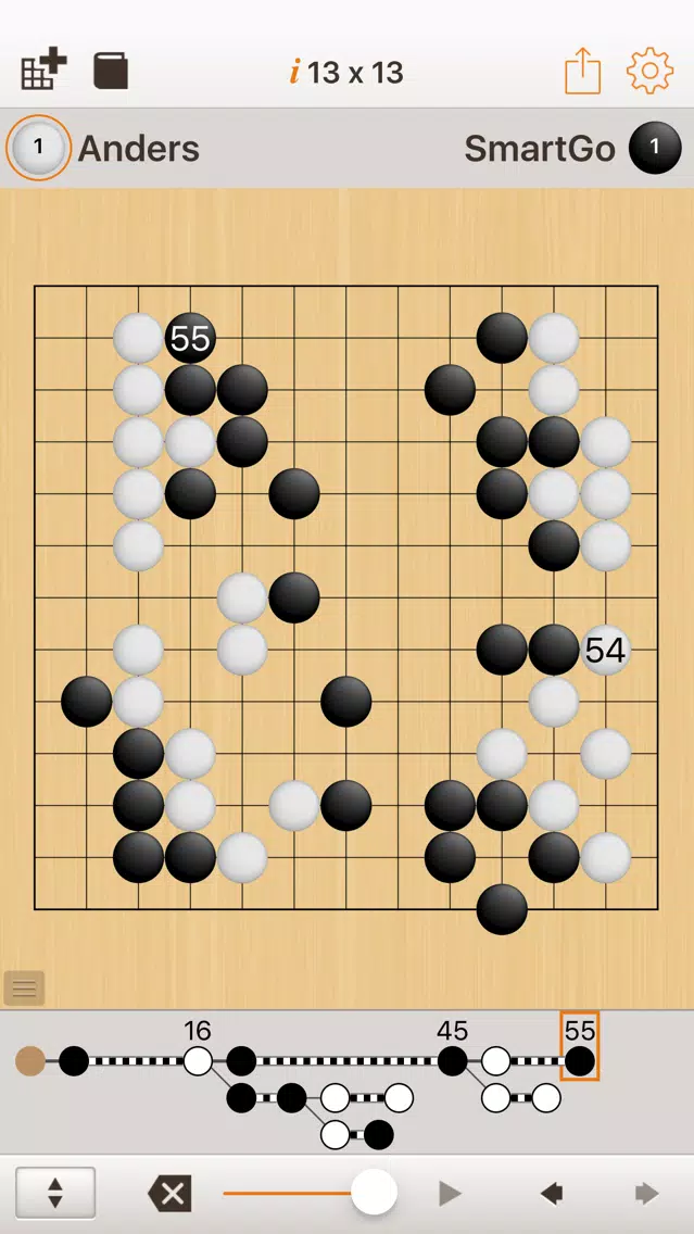 SmartGo Player 스크린샷