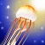 Jellyfish World