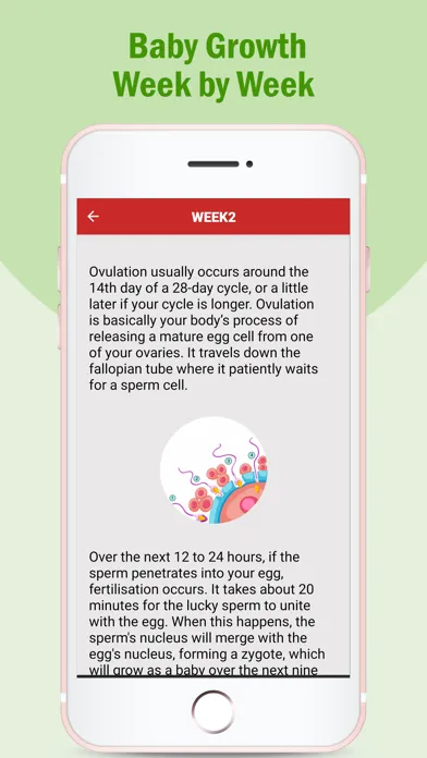 Capturas de tela do Pregnancy Care Tips