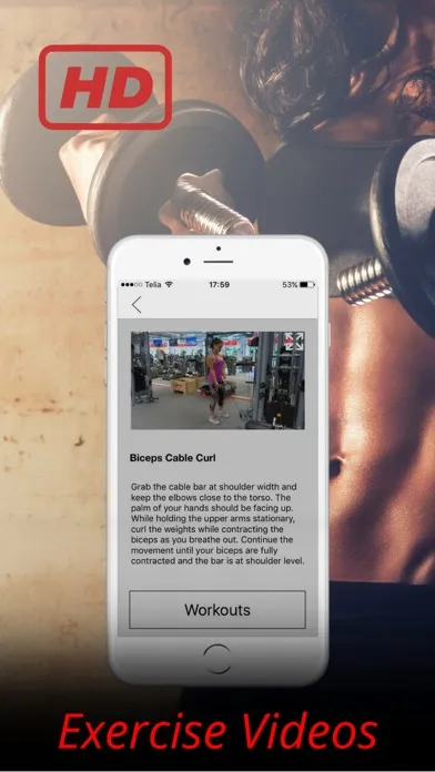 تصاویر Biceps Exercises and Arm Workouts Training Routine