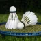 3D Badminton Sports Game