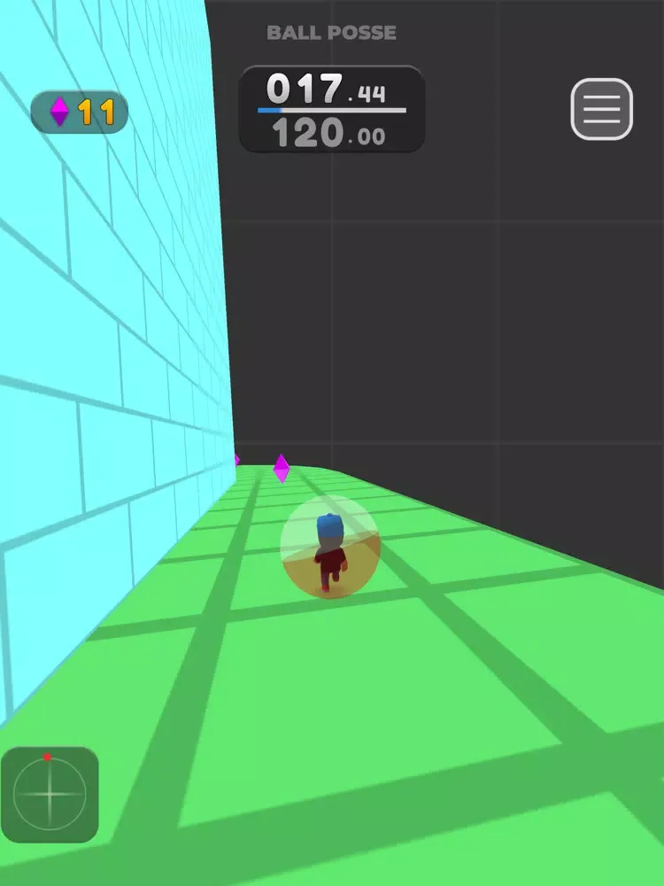 تصاویر Ball Posse iPad 