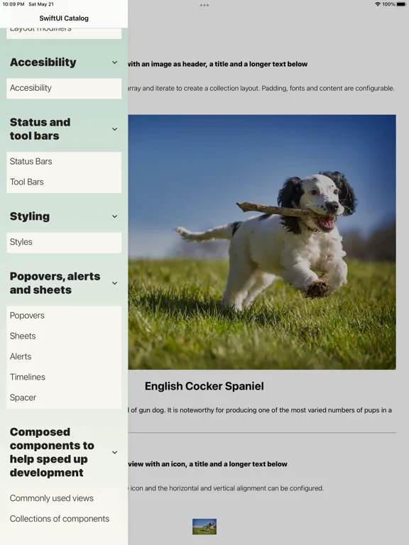 Captures d'écran de SwiftUI Catalog iPad 