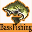 Bass Fishing