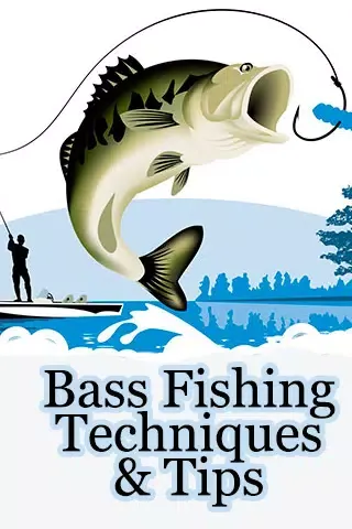 Captures d'écran de Bass Fishing