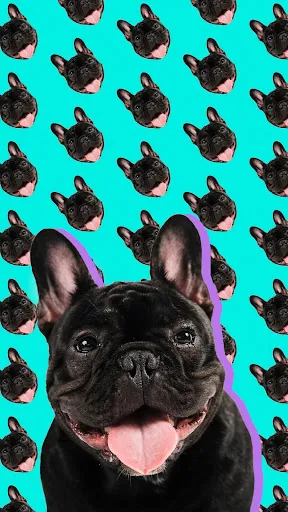 Patternator: Wallpaper Editor Screenshots