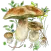 Mushrooms app